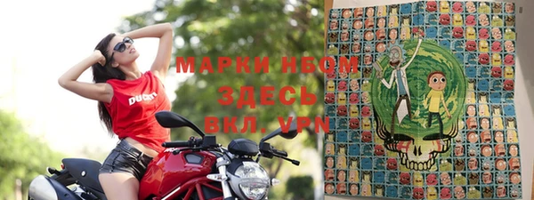 гашик Балахна