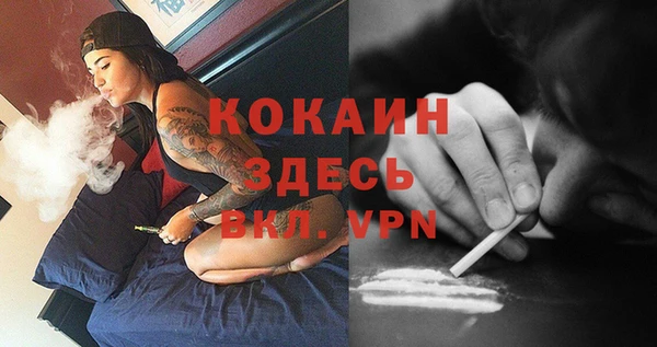гашик Балахна